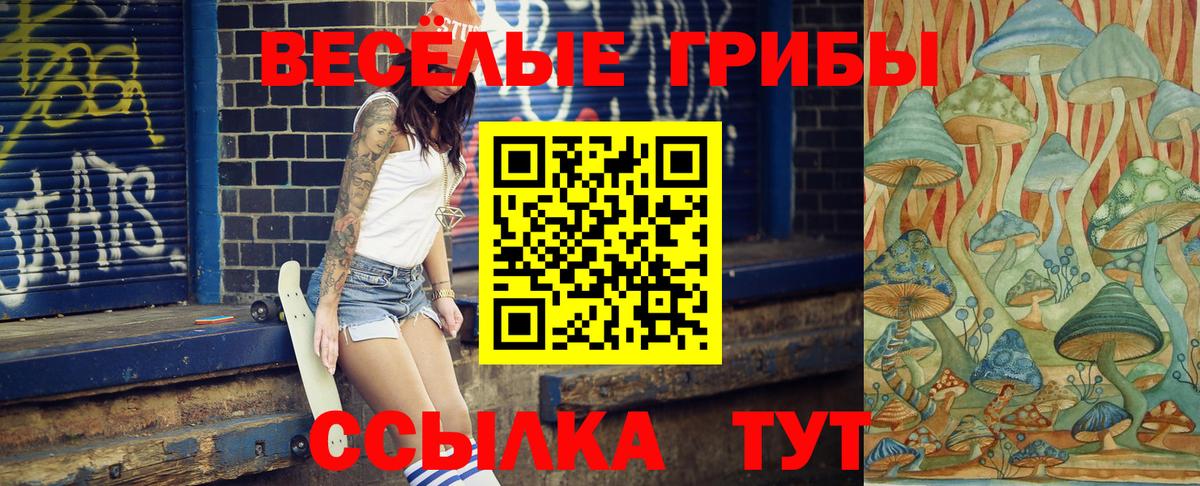 Галлюциногенные грибы GOLDEN TEACHER  Вход с VPN  Псилоцибиновые грибы Magic Shrooms  Мирный 